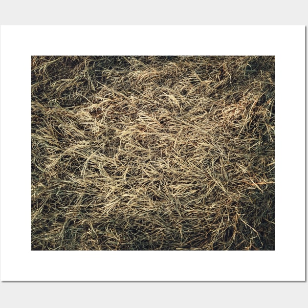 Dry grass texture Wall Art by psychoshadow